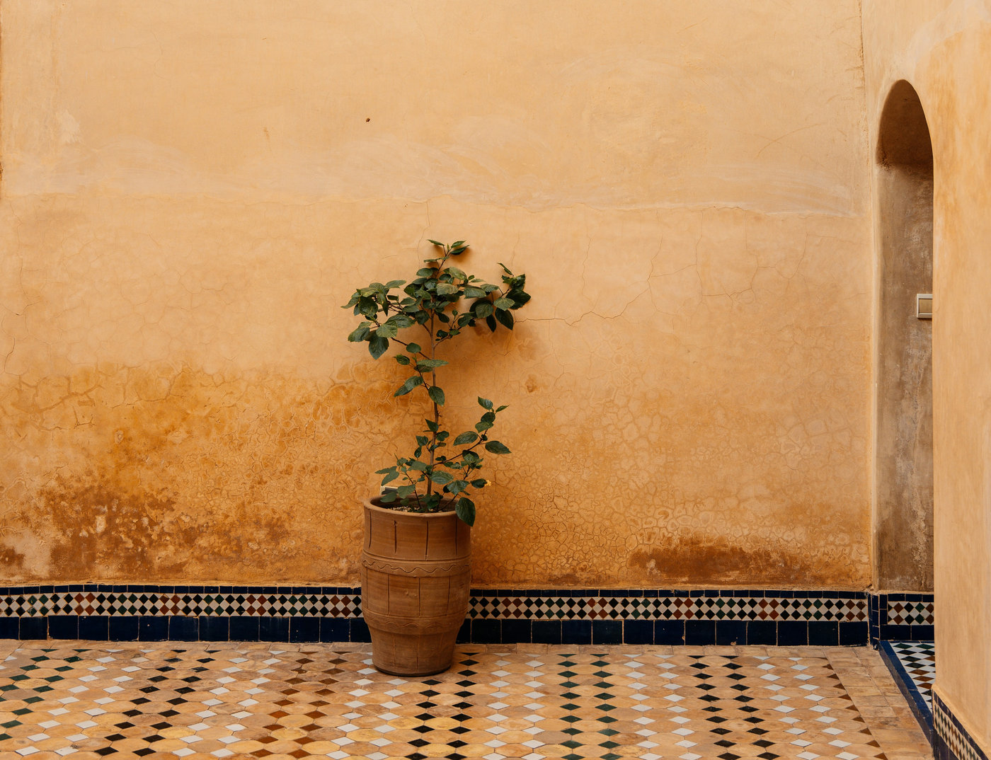 Pot against clay wall